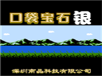 口袋宝石 - 银 封面