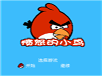 愤怒的小鸟 封面